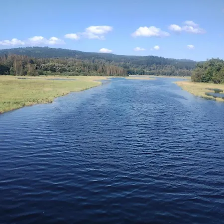 Hajenka Pod Medvedi Stezkou-ovesna-stozec 70 *
