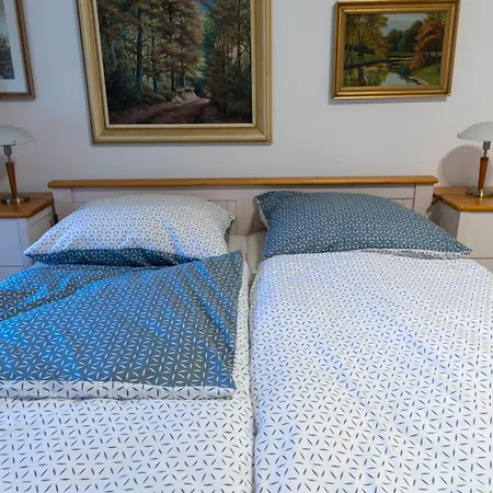 Hajenka Pod Medvedi Stezkou-ovesna-stozec 70 Stožec