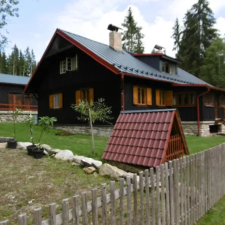 Hajenka Pod Medvedi Stezkou-ovesna-stozec 70 *